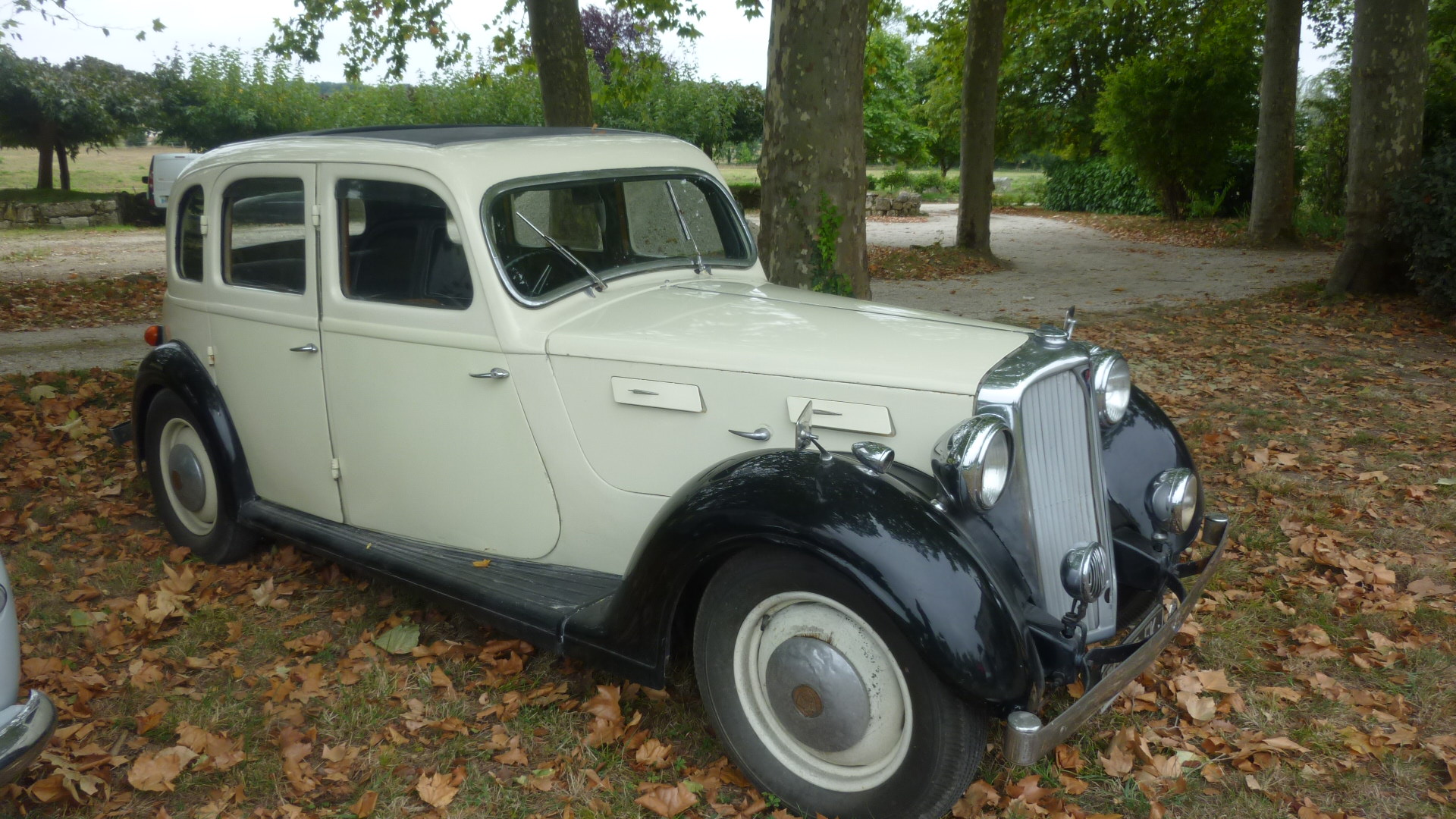 Rover P2 crème à ailes et toit noirs, vue de trois quarts avant, garée sous les arbres lors d'un rassemblement du RBCCH