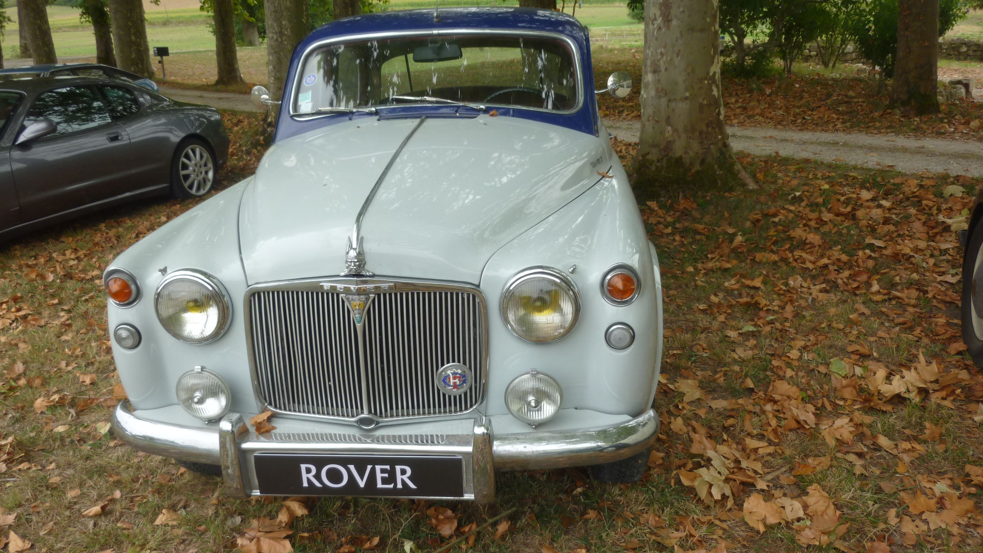 Rover P4 gris clair à toit bleu nuit, vue de face, lors d'un rassemblement du RBCCH